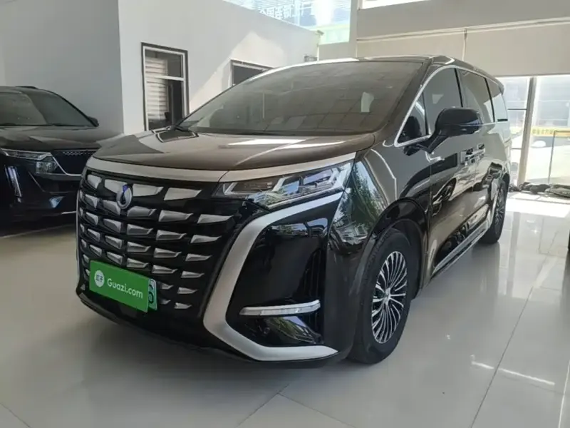 Denza D9, 2024