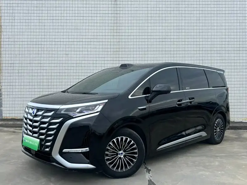 Denza D9, 2025