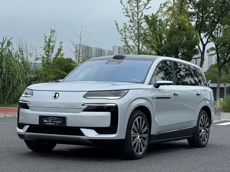Denza N9, 2025