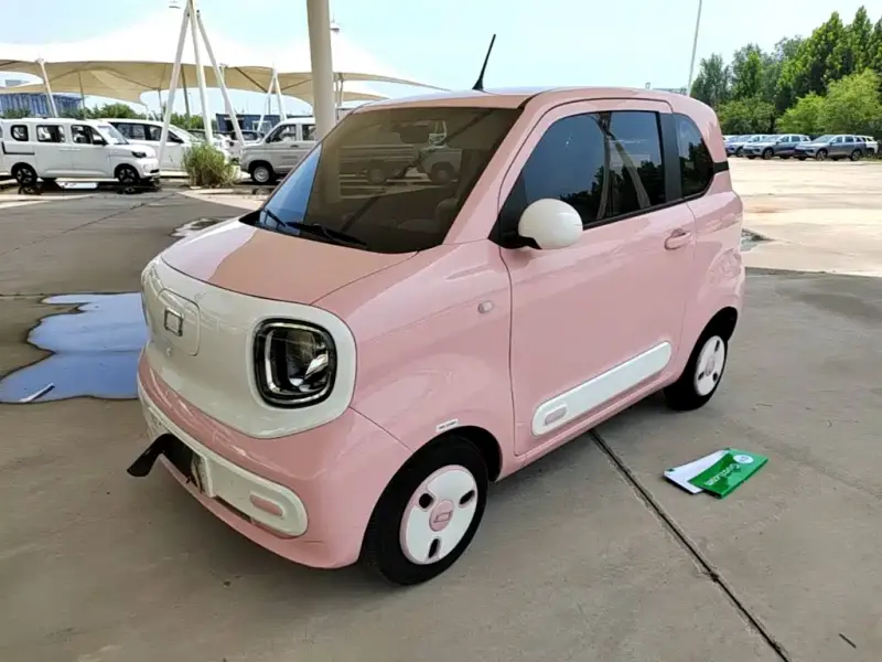 Bestune Pony, 2024