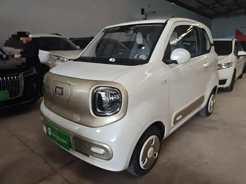 Bestune Pony, 2024