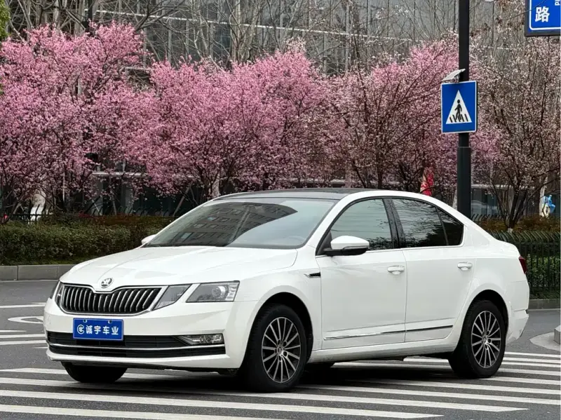 Skoda Octavia, 2018 — фото 1