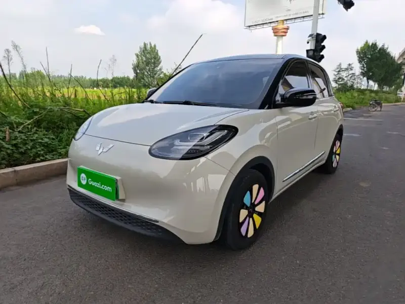 Wuling Bingo, 2024