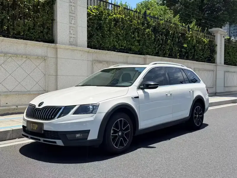 Skoda Octavia, 2019 — фото 1
