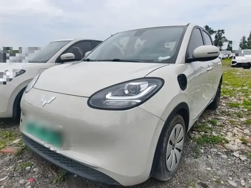 Wuling Bingo, 2023