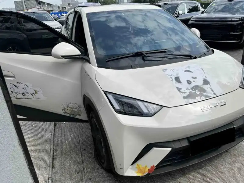 BYD Seagull, 2023