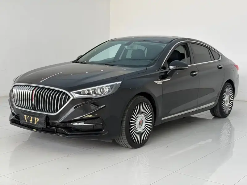 Hongqi H5, 2021