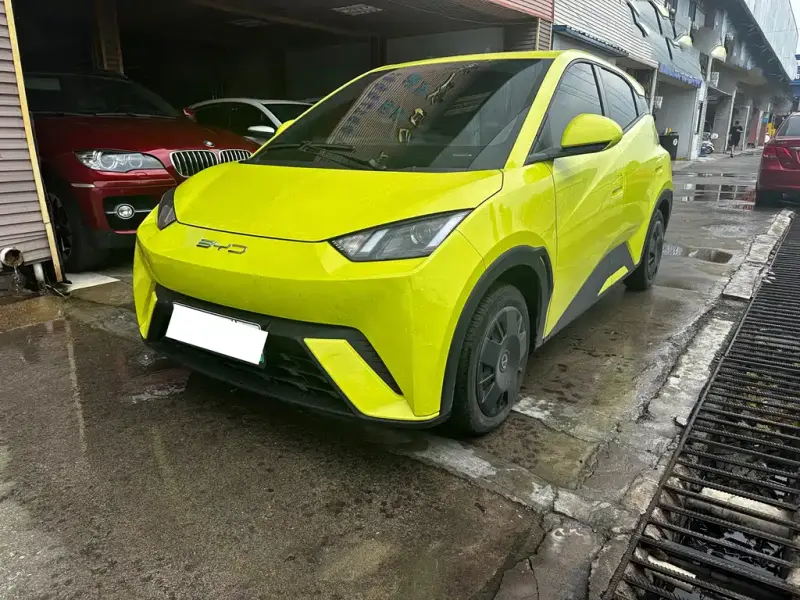 BYD Seagull, 2024