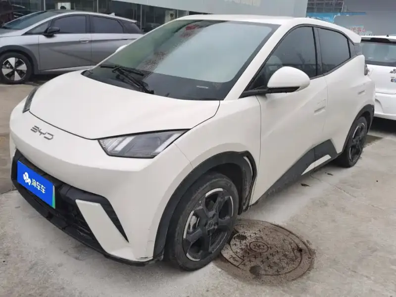 BYD Seagull, 2023