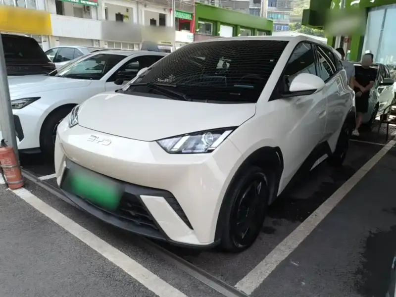 BYD Seagull, 2024
