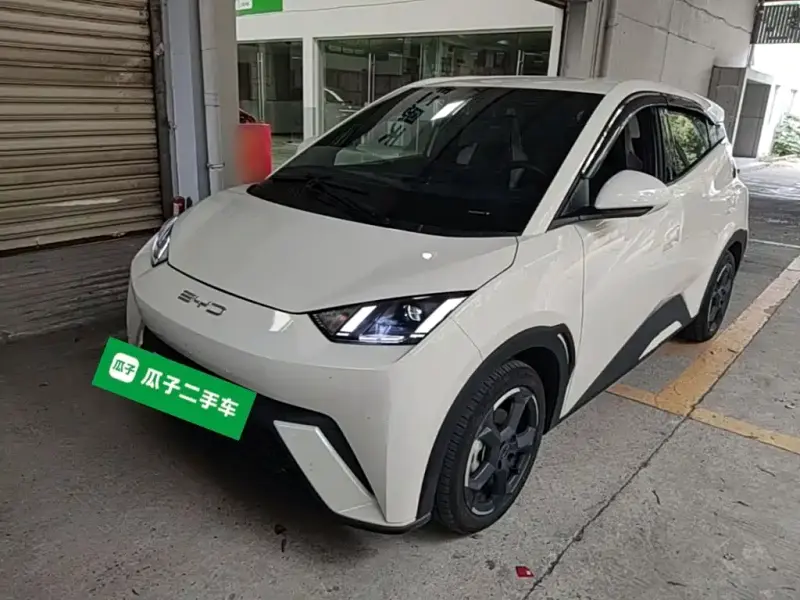 BYD Seagull, 2024