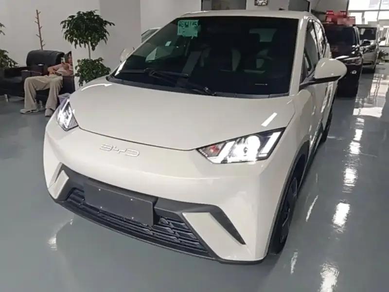 BYD Seagull, 2024