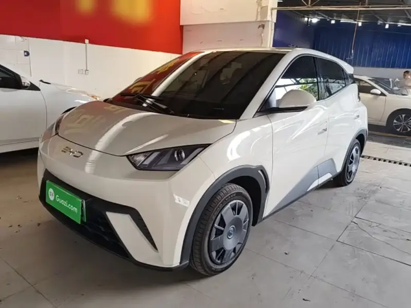 BYD Seagull, 2025