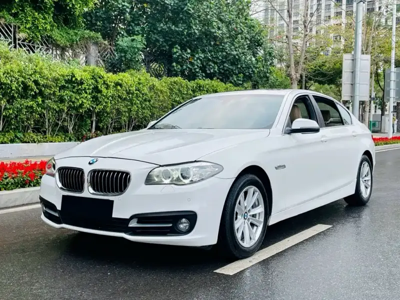 BMW 5 Series, 2014