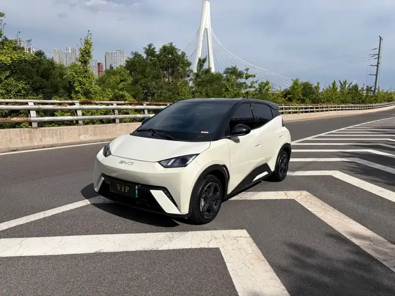 BYD Seagull, 2023