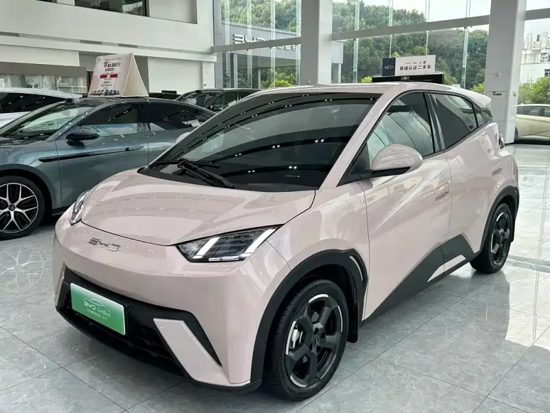 BYD Seagull, 2024