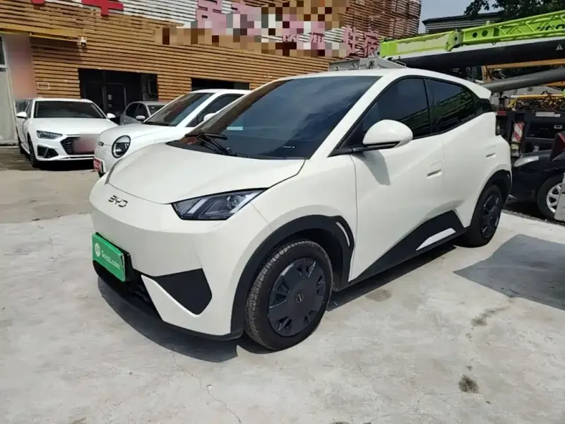 BYD Seagull, 2025