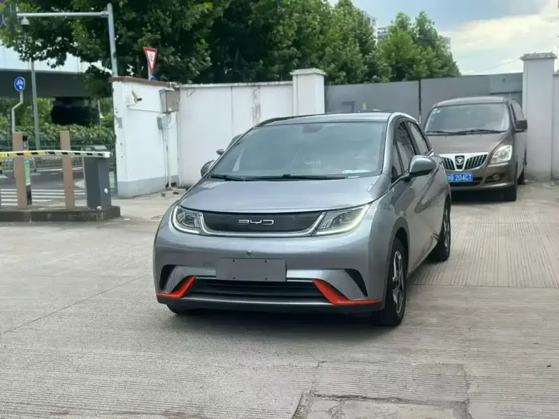 BYD Dolphin, 2022