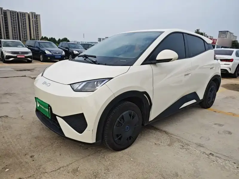 BYD Seagull, 2025