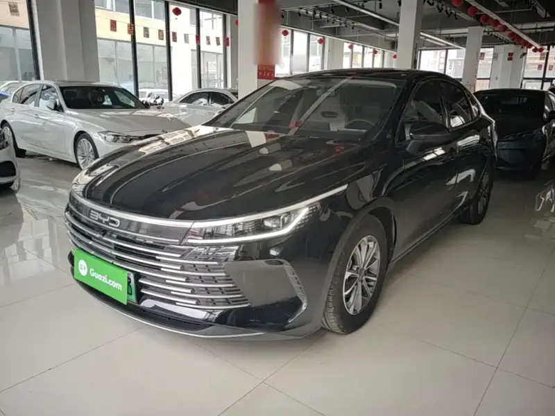 BYD Destroyer 05, 2024