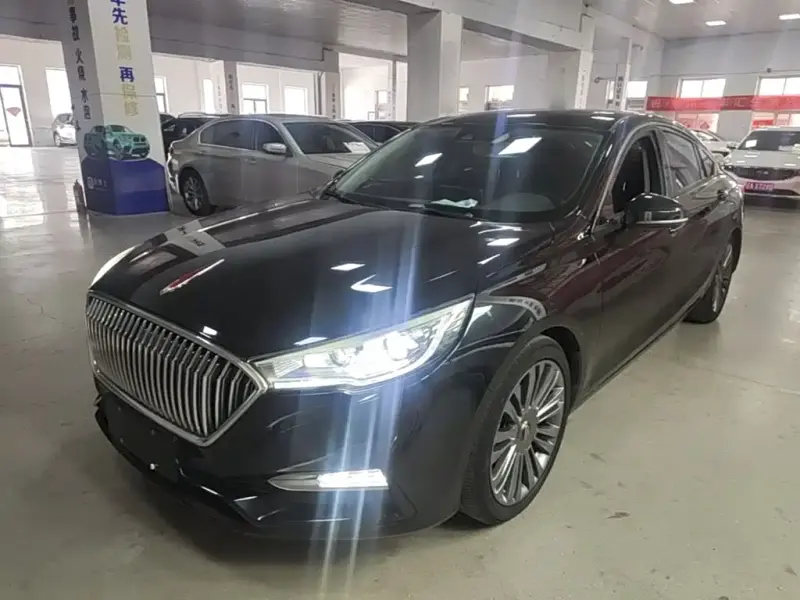 Hongqi H5, 2020