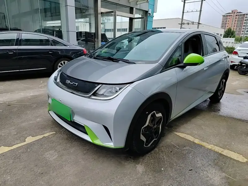 BYD Dolphin, 2022