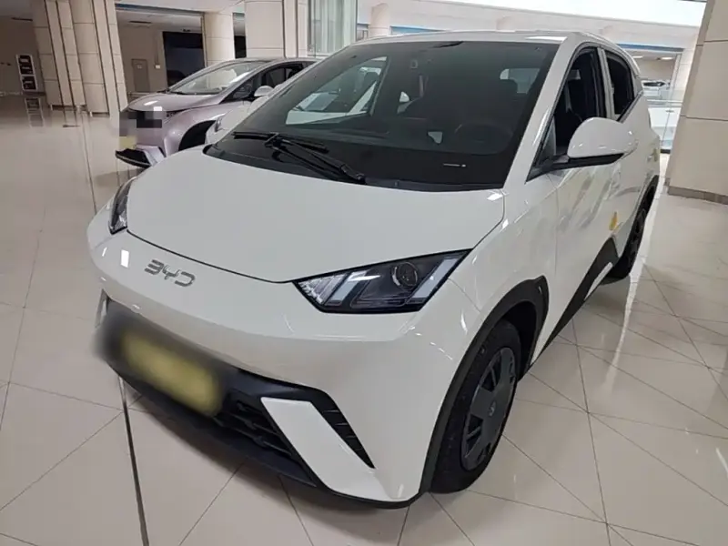 BYD Seagull, 2025