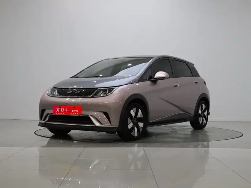 BYD Dolphin, 2022