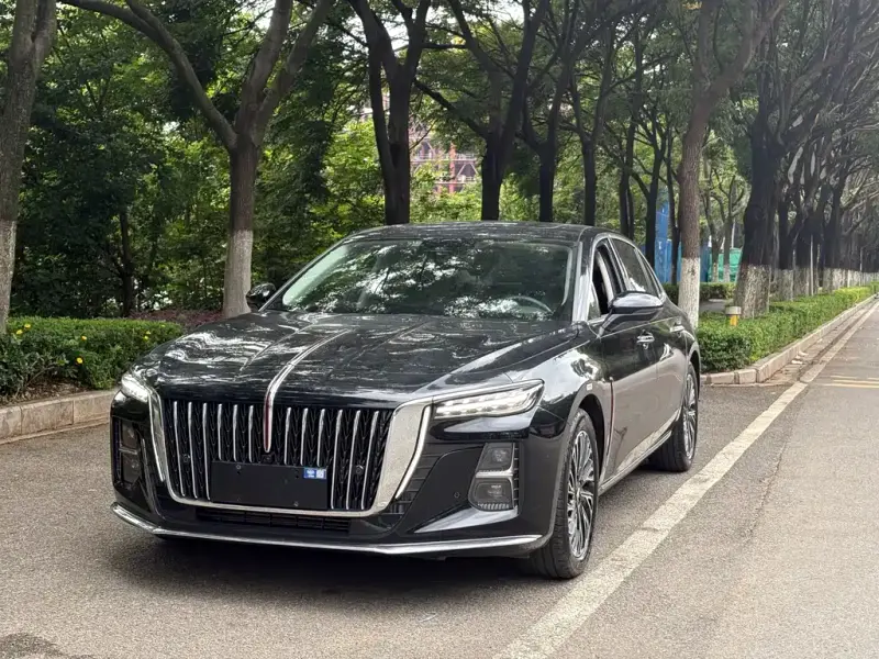 Hongqi H5, 2023