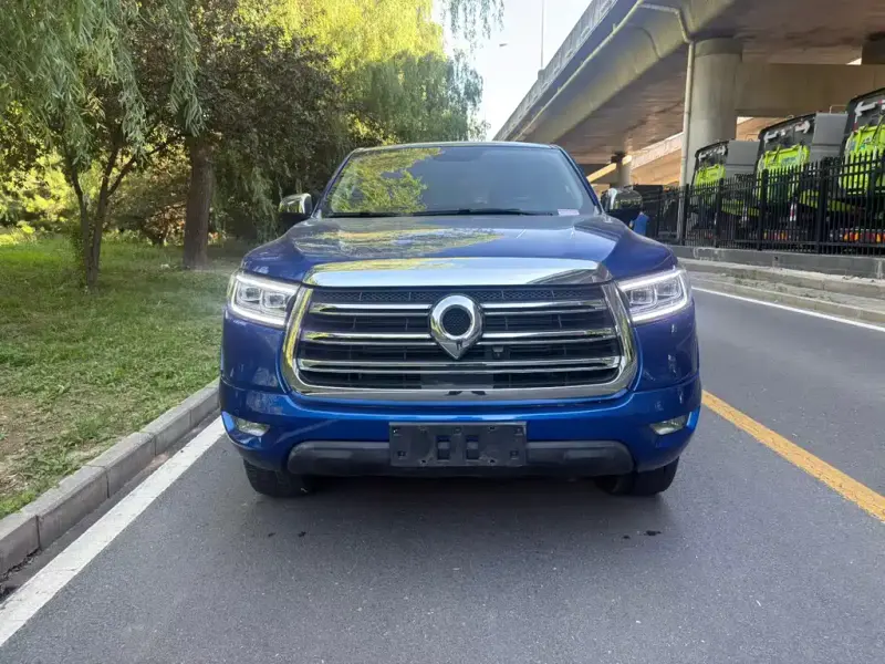 Great Wall Pao, 2020