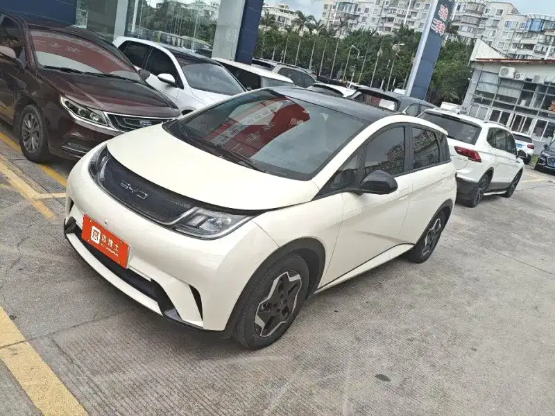 BYD Dolphin, 2023