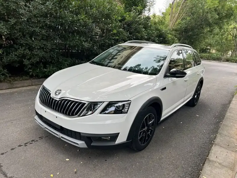 Skoda Octavia, 2020 — фото 1
