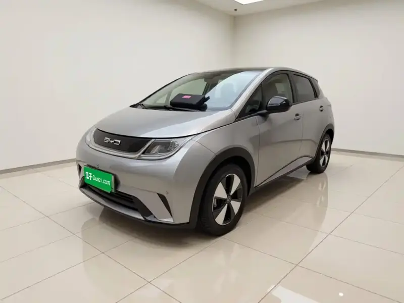 BYD Dolphin, 2023
