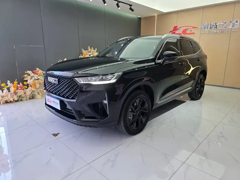 Haval H6, 2024