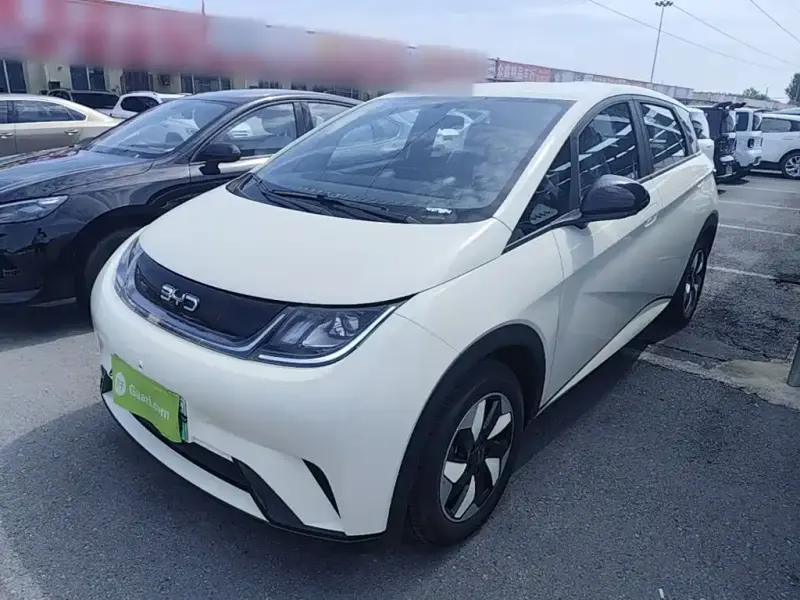 BYD Dolphin, 2026