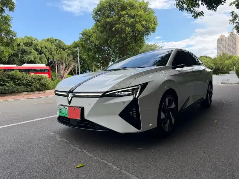 Lingxi L, 2024
