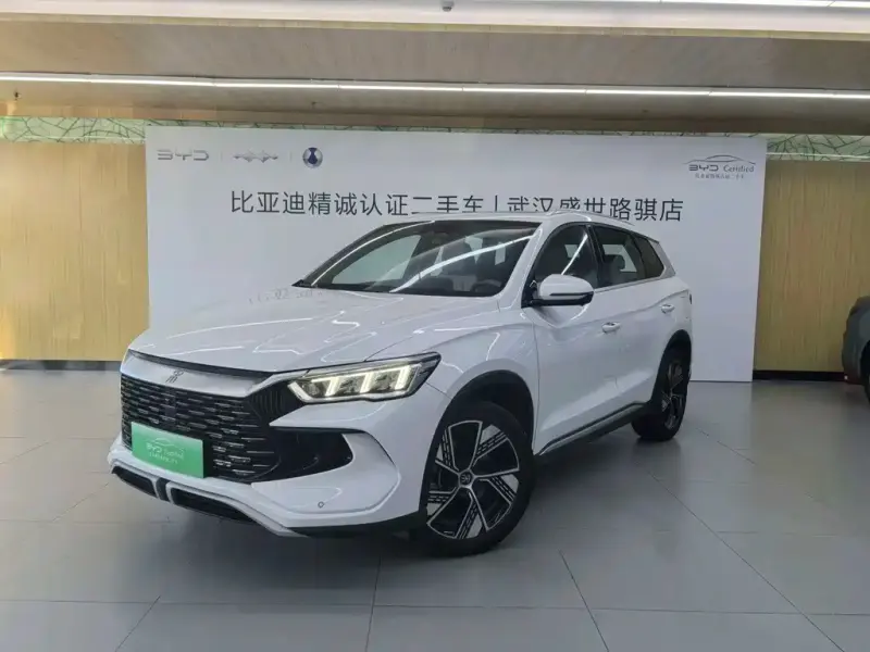 BYD Pro New Energy, 2024 — фото 1