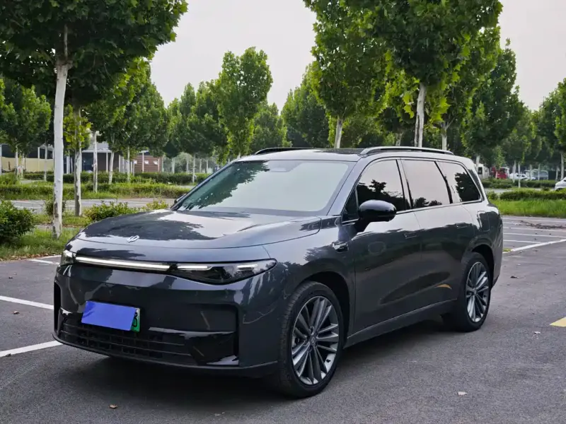 Leapmotor C16, 2024