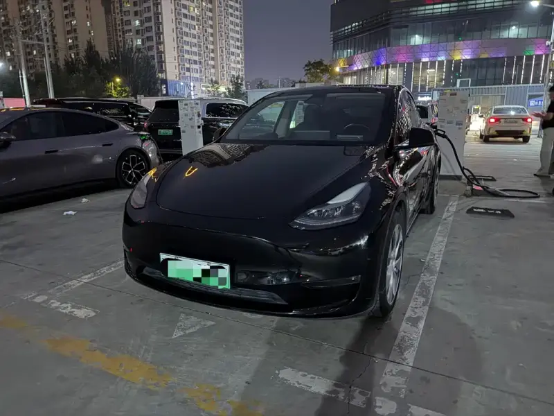 Tesla Model Y, 2021