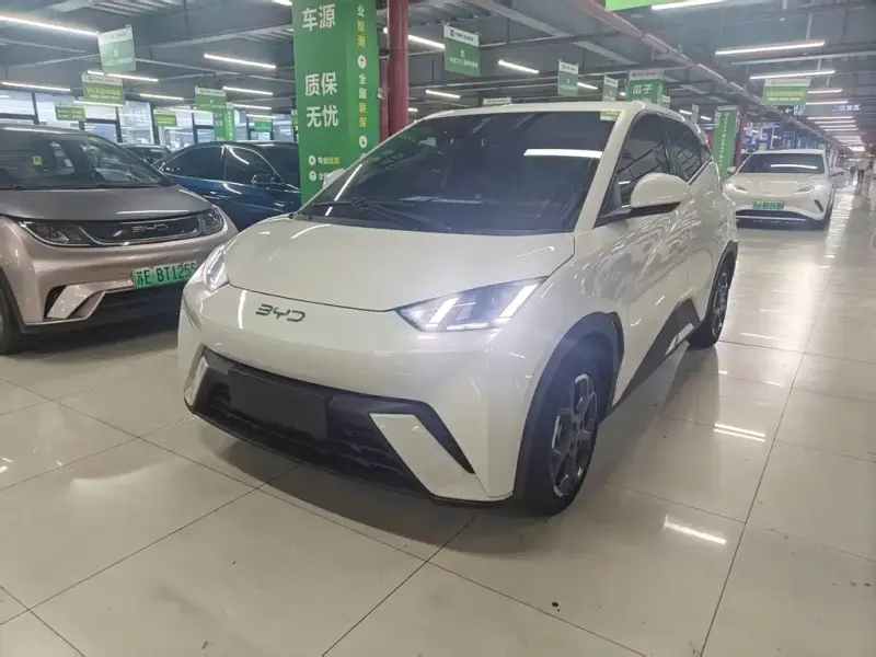 BYD Seagull, 2024