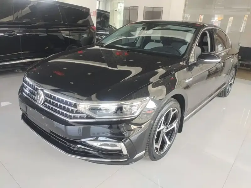 Volkswagen Magotan, 2024