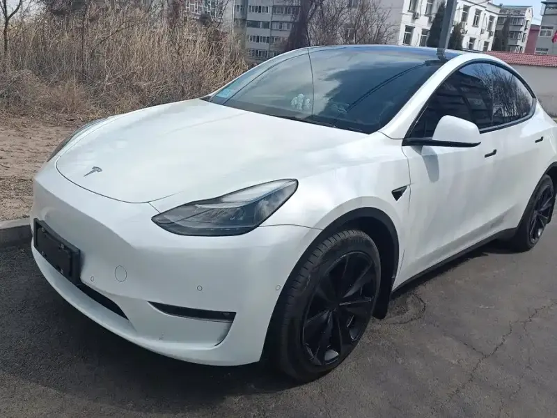 Tesla Model Y, 2021