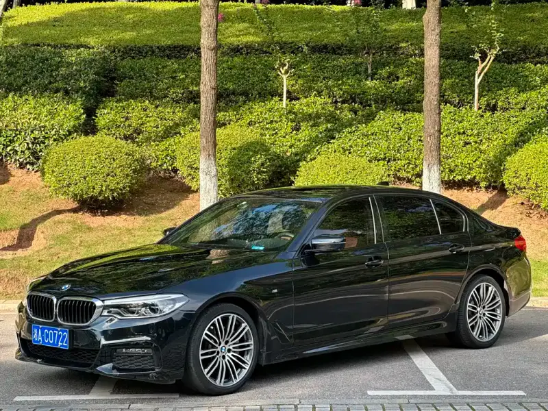 BMW 5 Series, 2019