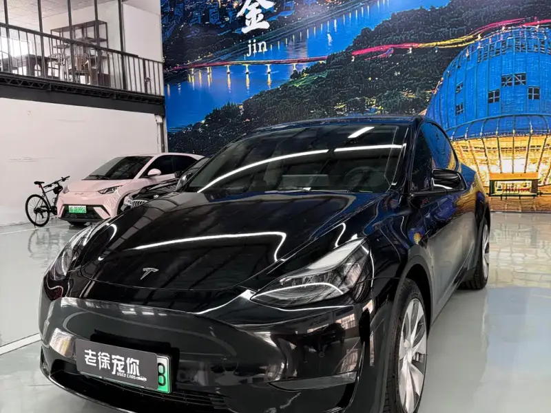 Tesla Model Y, 2022