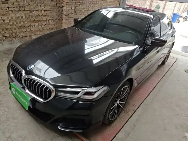 BMW 5 Series, 2019