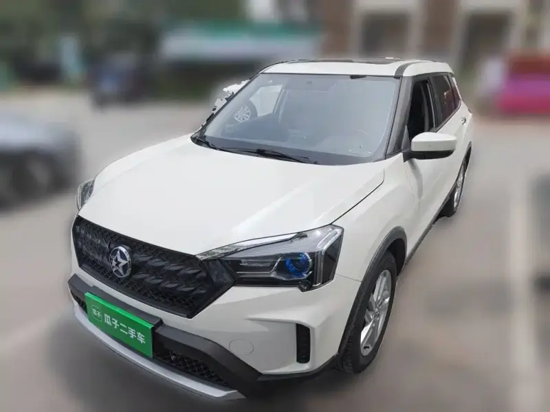 Venucia T60, 2020