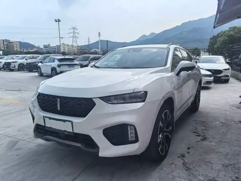 Wey VV7, 2018