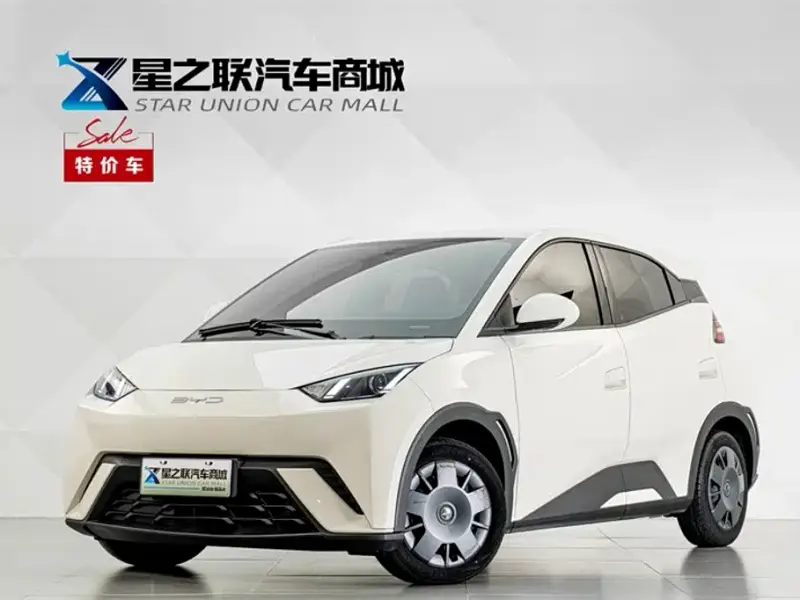 BYD Seagull, 2023