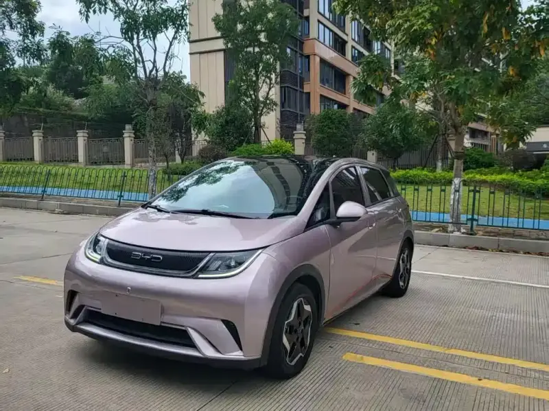 BYD Dolphin, 2022