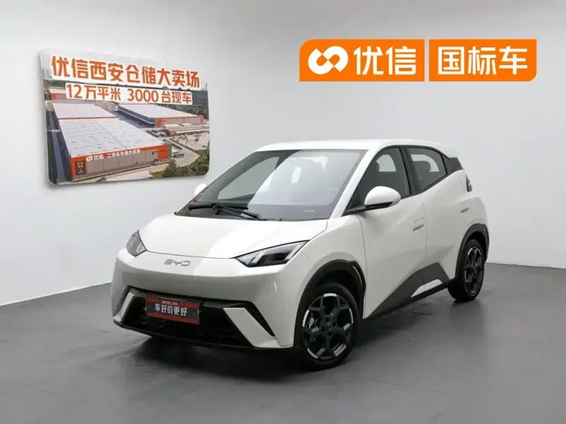 BYD Seagull, 2024